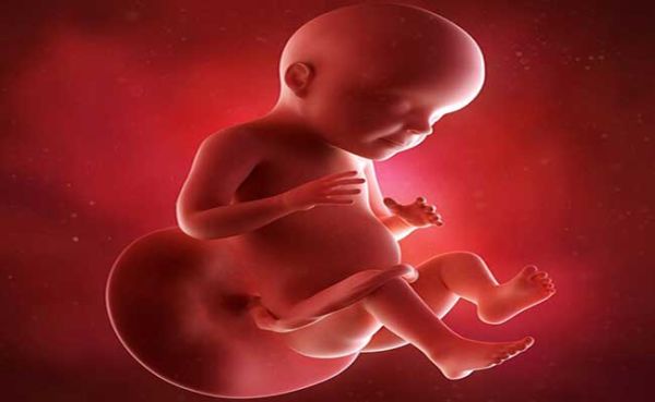 وزن جنین در ماه هفتم بارداری