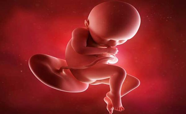 وزن جنین در ماه نهم بارداری