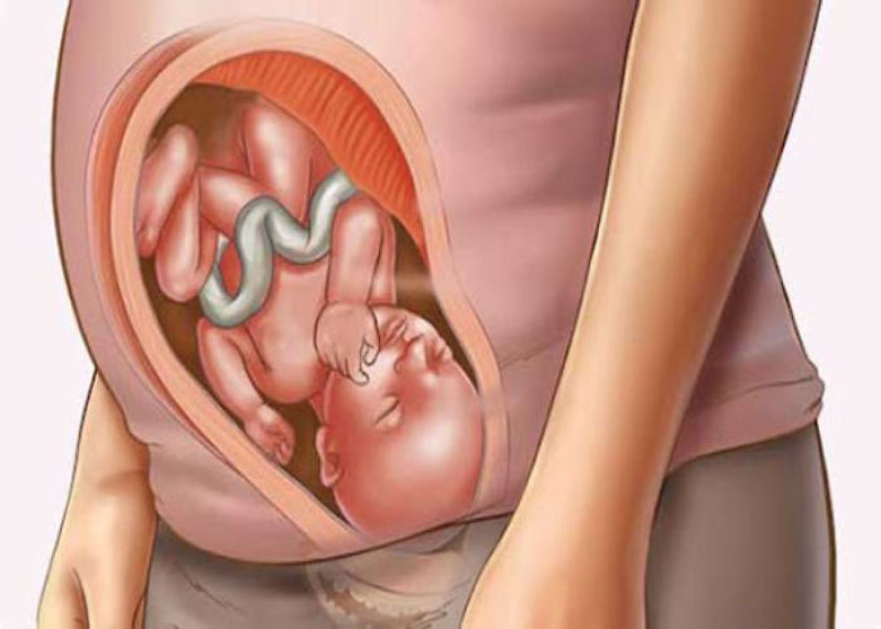 با شروع ماه شروع ماه هشتم بارداری چه چیزهایی در انتظار شماست؟
