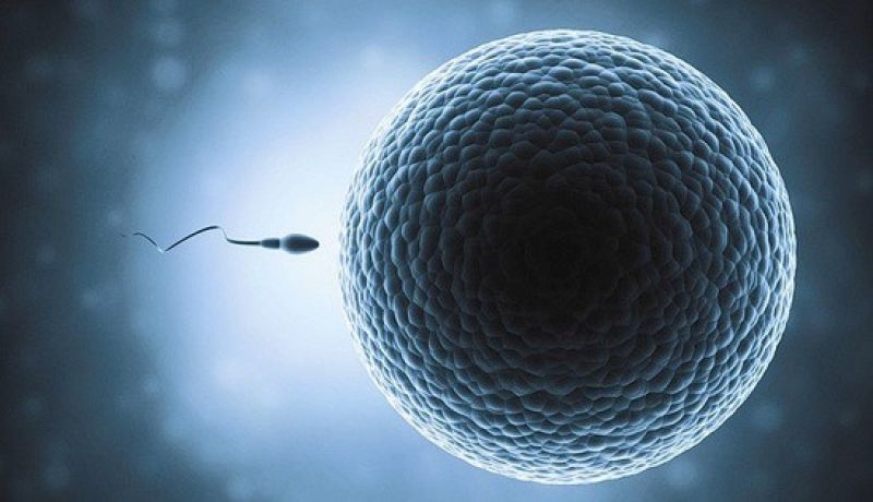 بارداری با پیشاب و جنسیت جنین