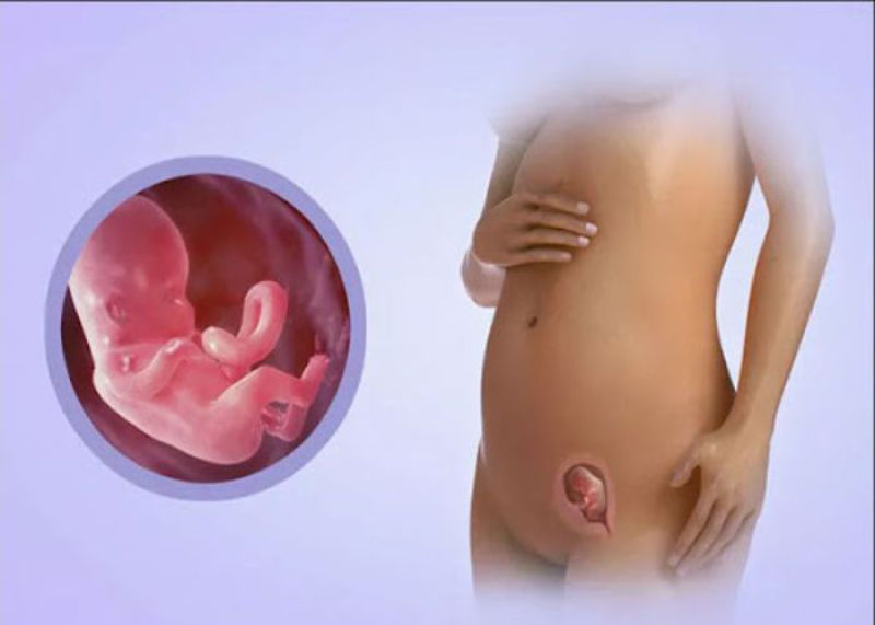 ممنوعات سه ماهه اول بارداری چیست؟