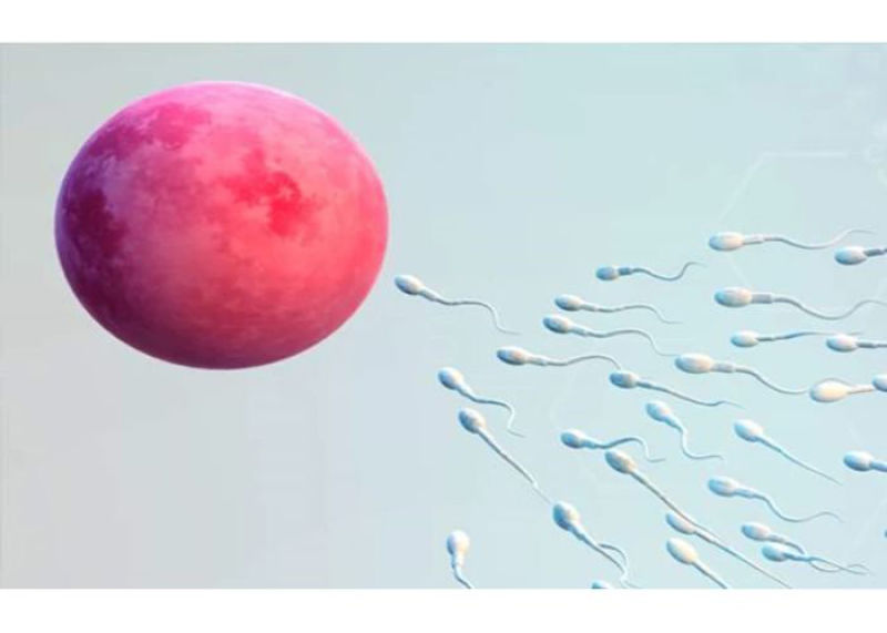 نحوه تشخیص تحرک پایین اسپرم