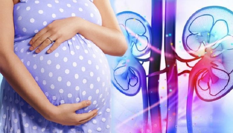 علل سطوح بالای کراتینین در بارداری
