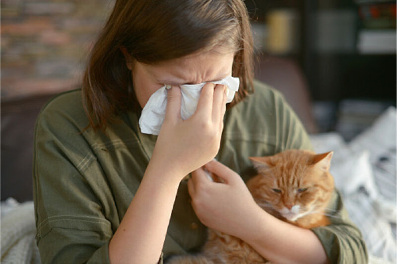 علائم حساسیت به گربه