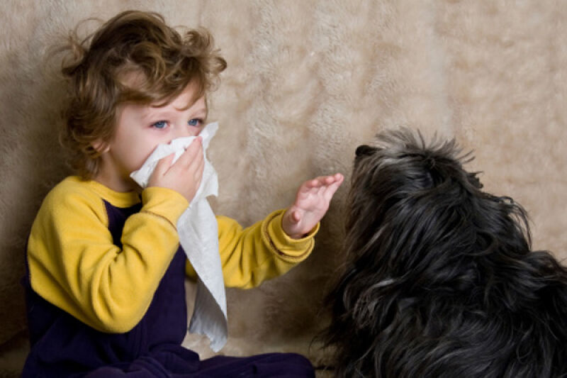 آلرژی به سگ در کودکان
