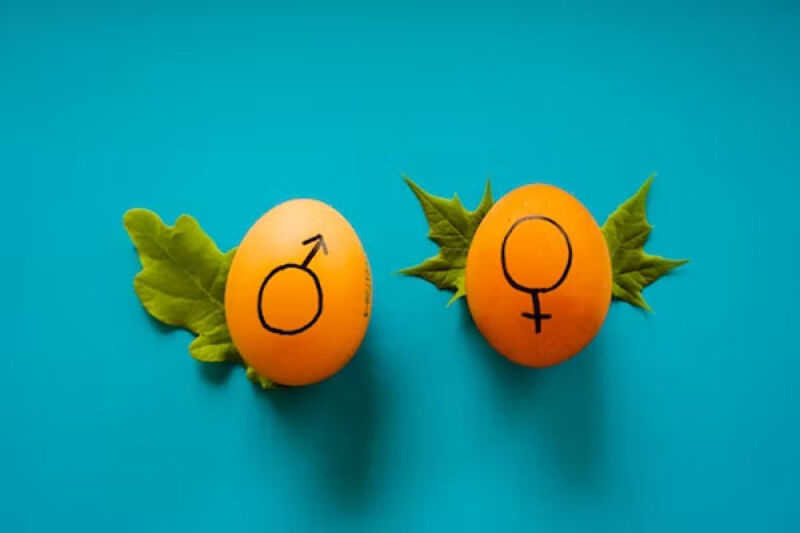 قرص فلوکونازول برای تعیین جنسیت