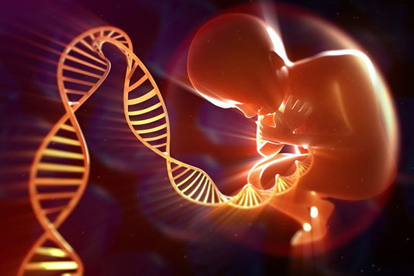 آزمایش ژنتیک قبل از بارداری