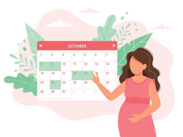 چند روز بعد از پریود احتمال بارداری وجود دارد؟