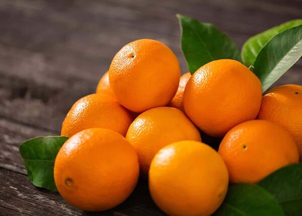 پرتقال در دوران بارداری