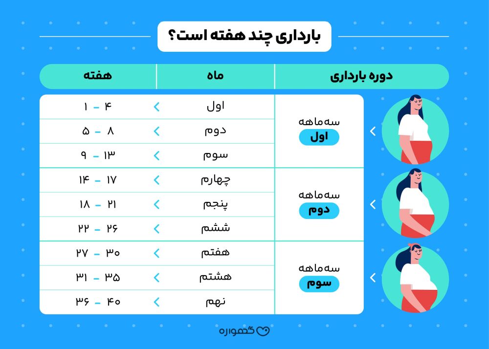 بارداری چند هفته است