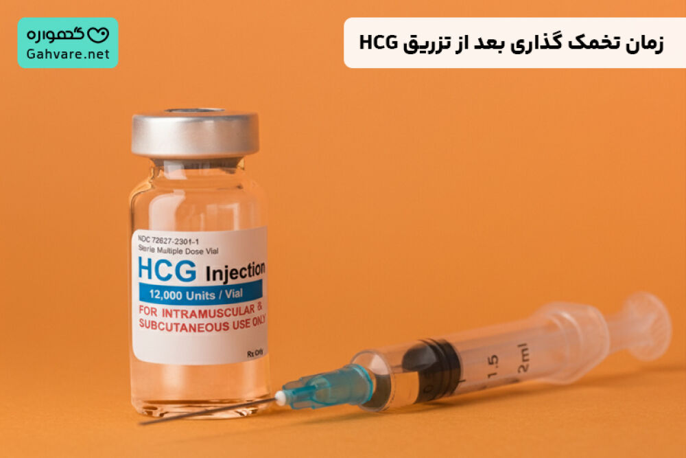 زمان تخمک گذاری بعد از تزریق آمپول HCG
