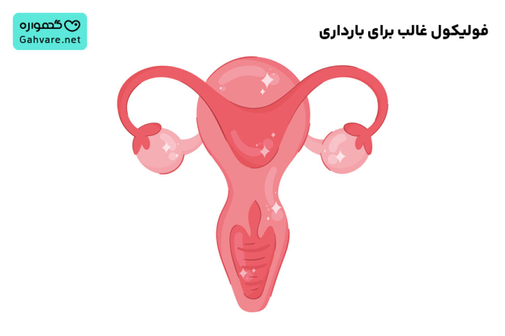 فولیکول غالب