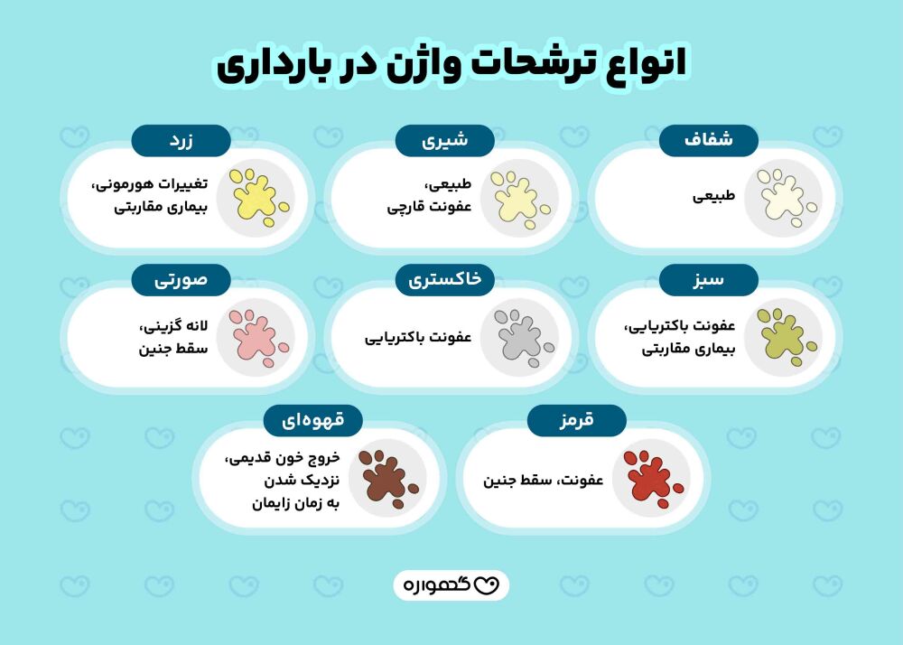 انواع ترشحات واژن در بارداری
