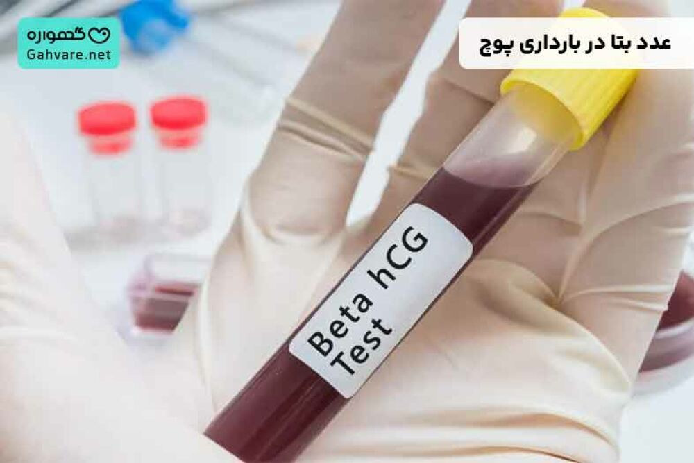 عدد بتا در بارداری پوچ