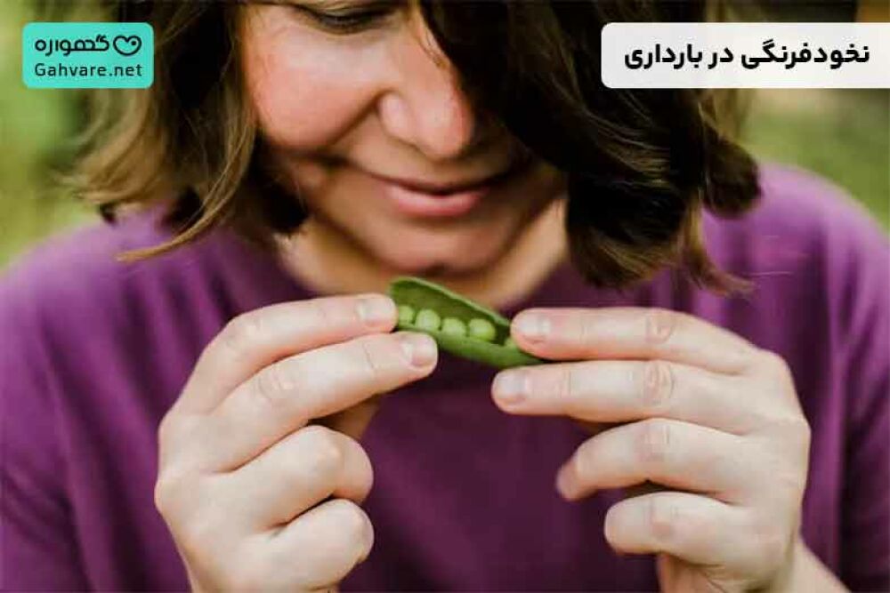 نخودفرنگی در بارداری