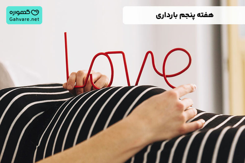 هفته پنجم بارداری