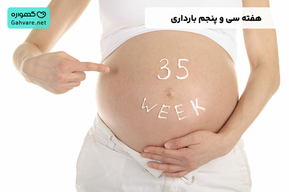 هفته سی و پنجم بارداری