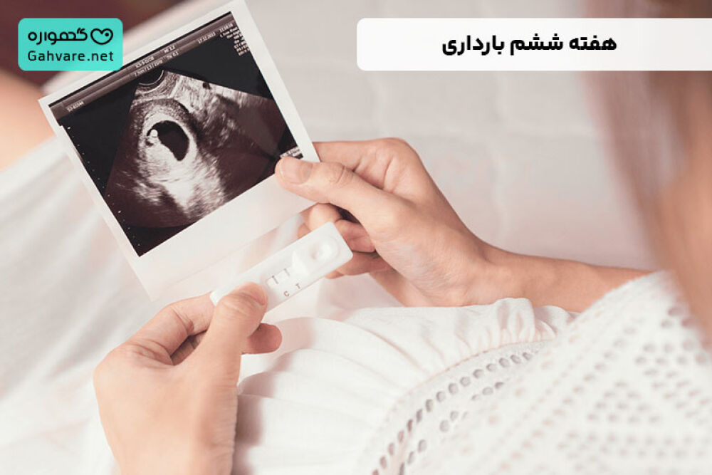 هفته ششم بارداری