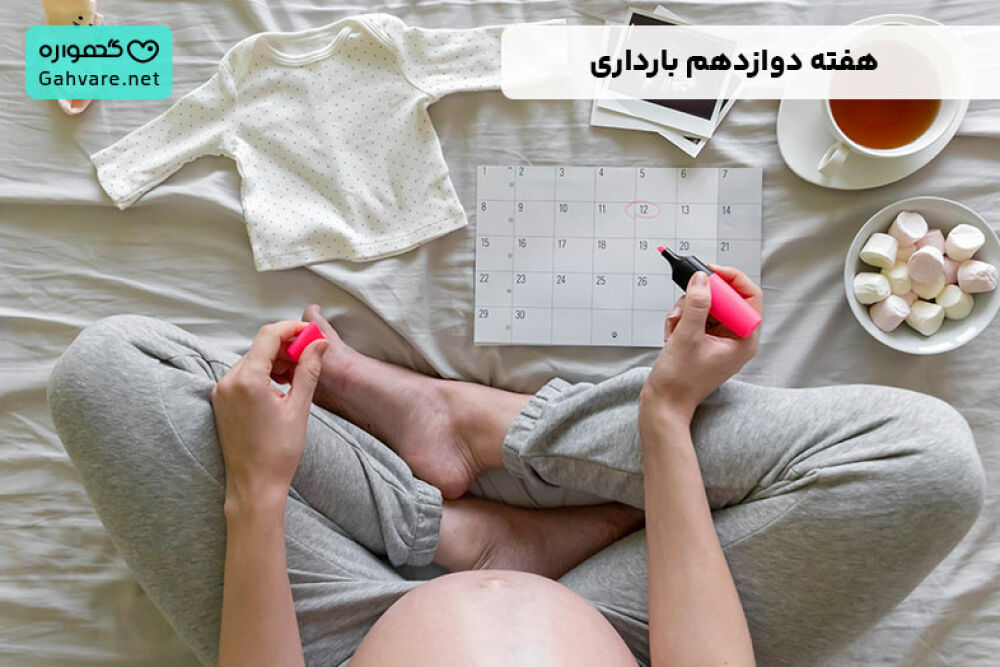 هفته دوازدهم بارداری