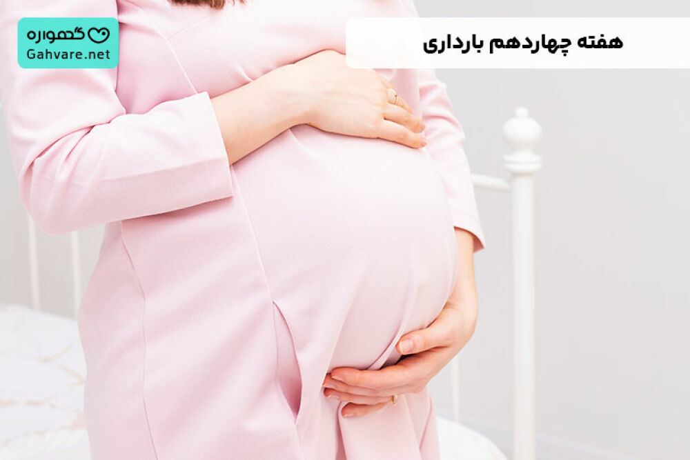 هفته چهاردهم بارداری