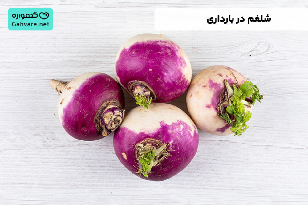 شلغم در بارداری