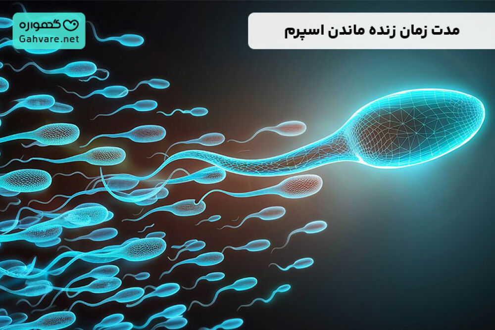 اسپرم چند روز در رحم زنده میماند