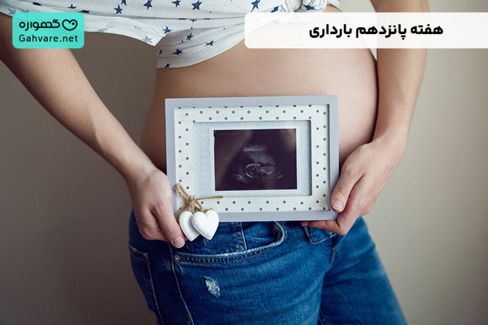 هفته پانزدهم بارداری