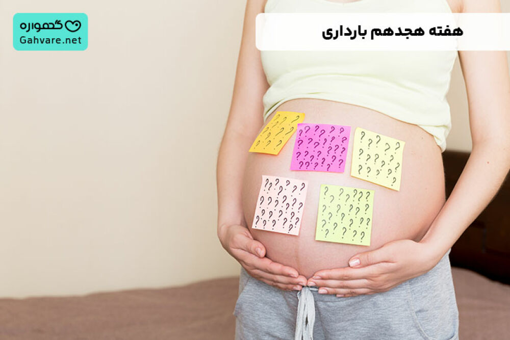 هفته ۱۸ بارداری