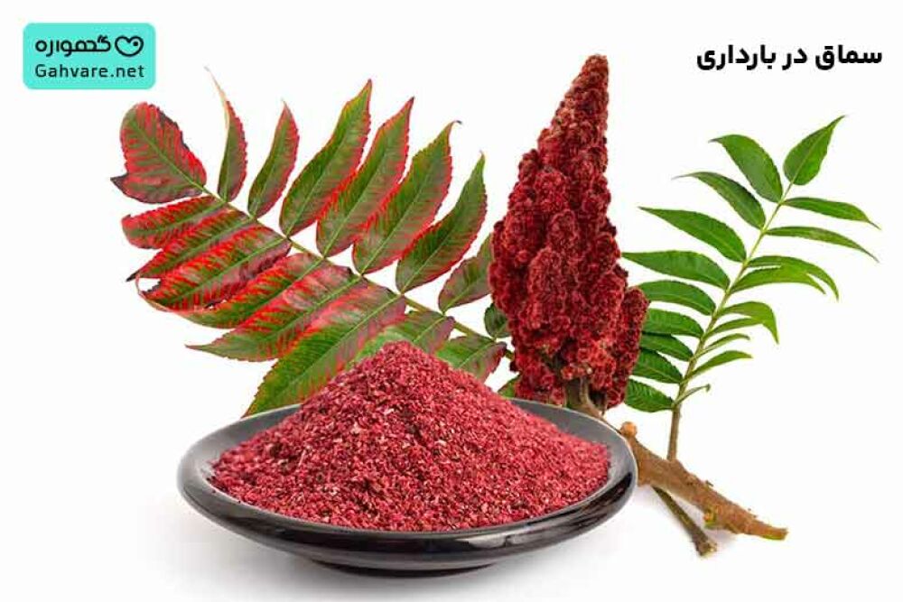 سماق در بارداری