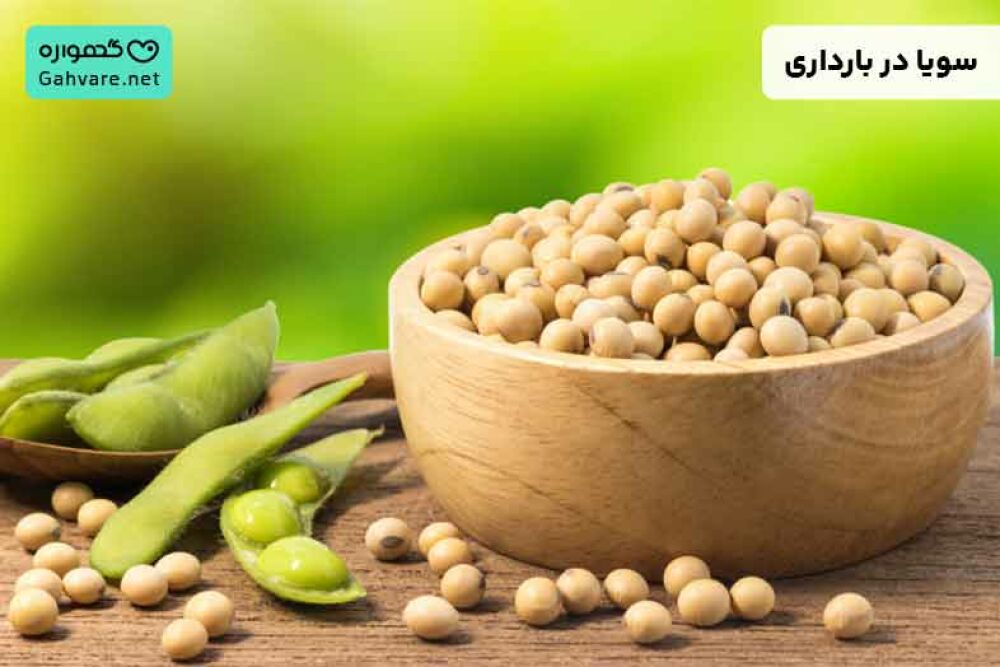 سویا در بارداری