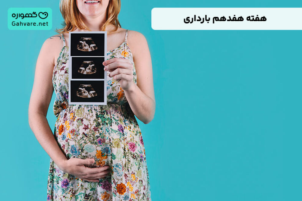 هفته هفدهم بارداری