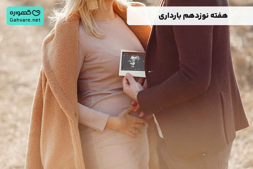 هفته نوزدهم بارداری