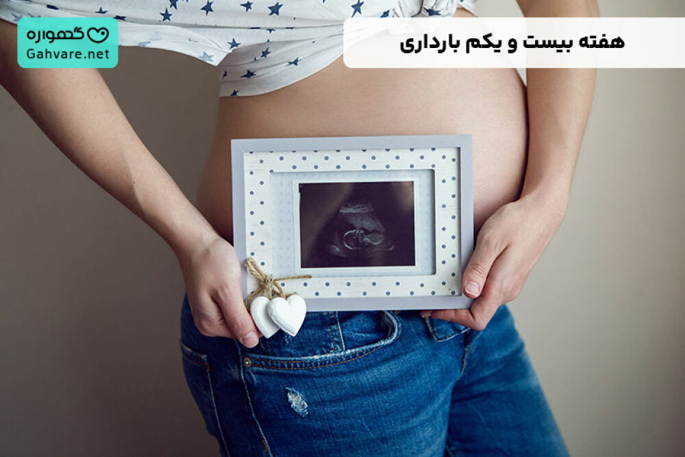 هفته ۲۱ بارداری