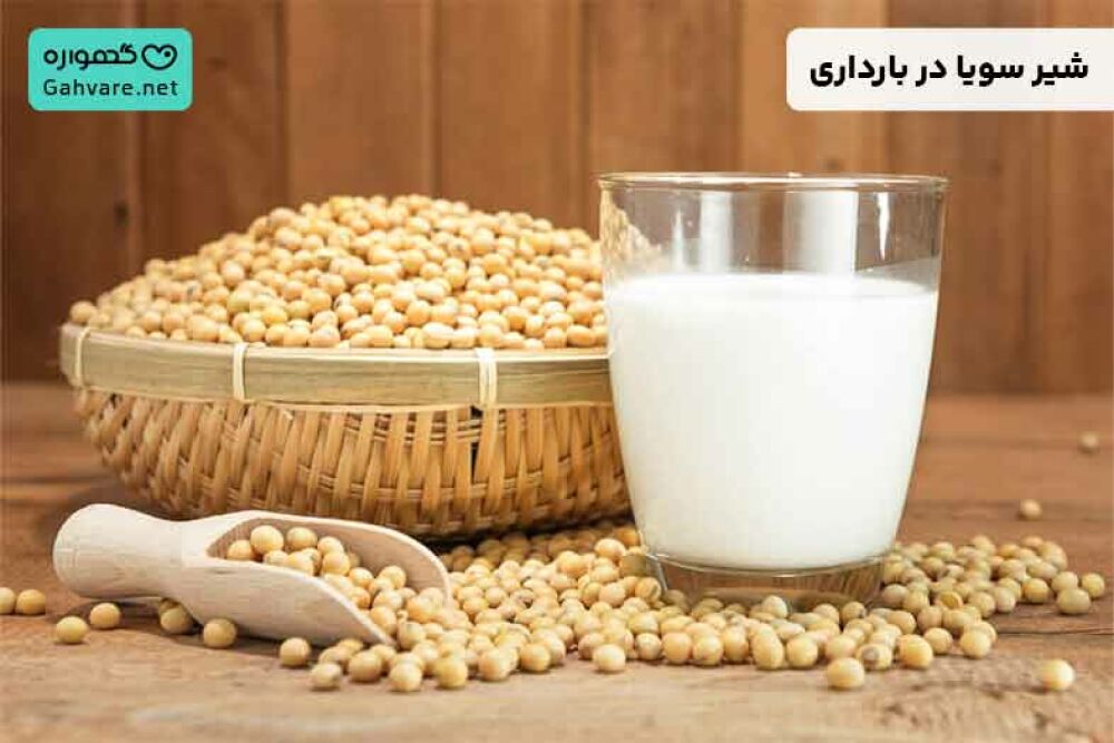 شیر سویا در بارداری
