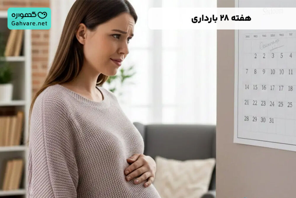 هفته ۲۸ بارداری