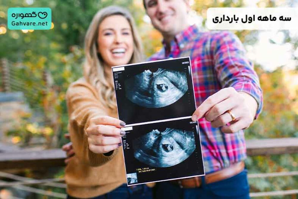سه ماهه اول بارداری