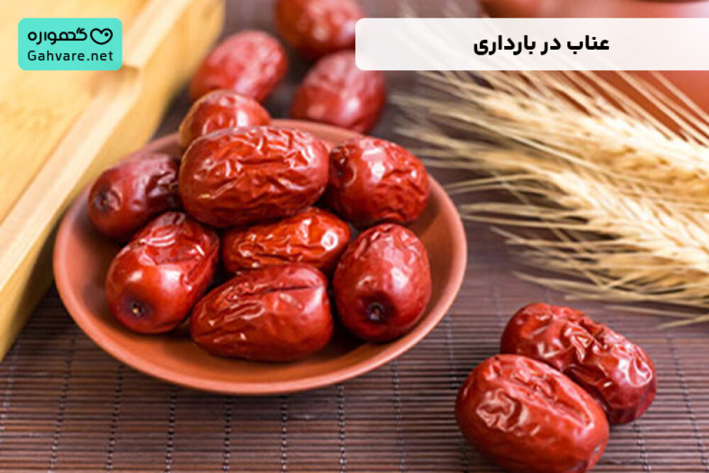 عناب در بارداری