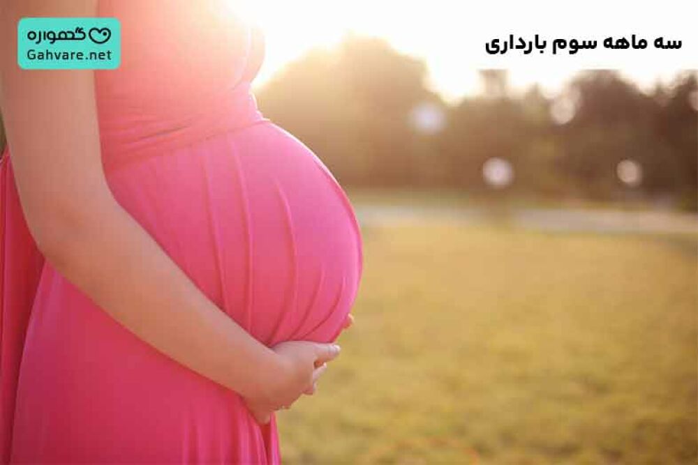 سه ماهه سوم بارداری