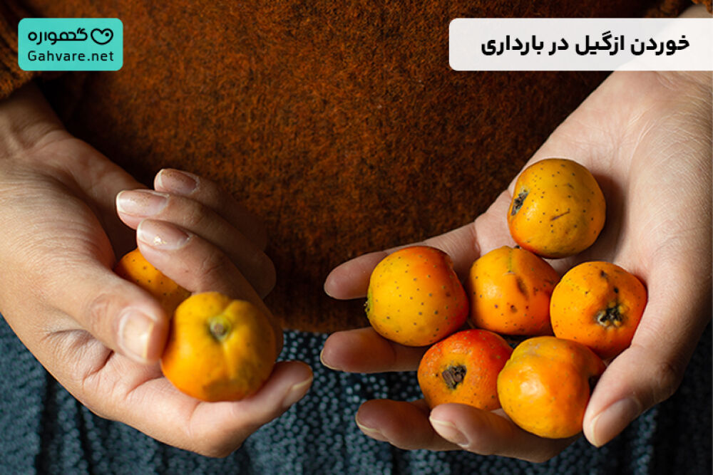ازگیل در بارداری