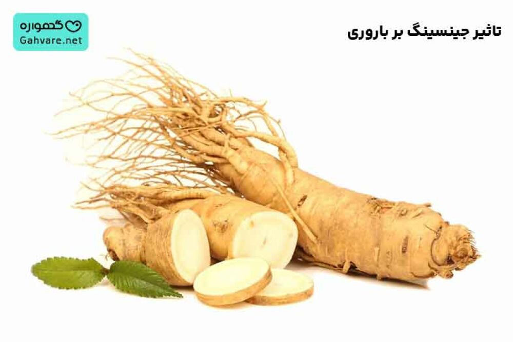 تاثیر جینسینگ بر باروری