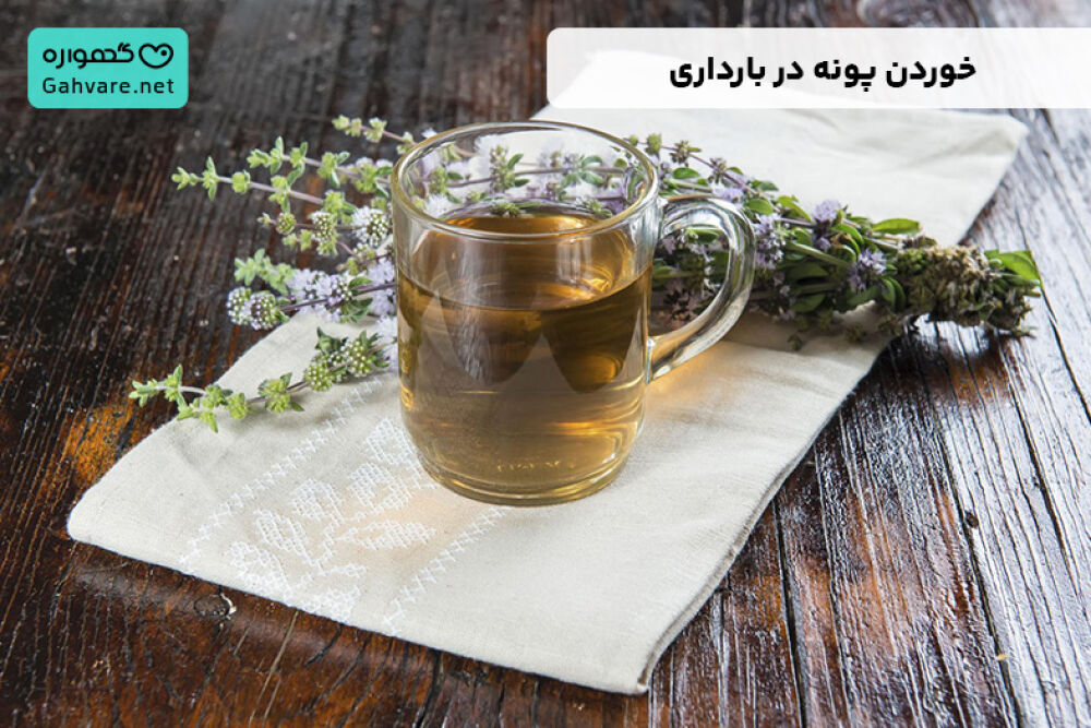 پونه در بارداری