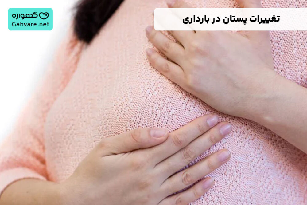 تغییرات پستان در بارداری