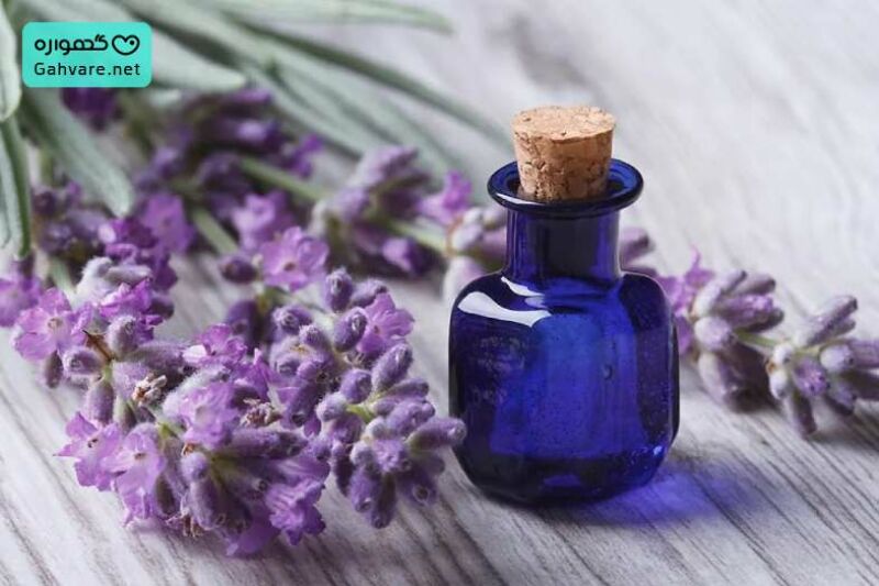 خطرات و عوارض اسطوخودوس در بارداری