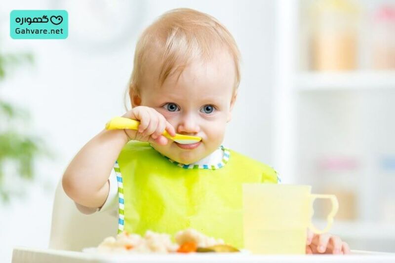 لیست غذای نوزاد 8 ماهه