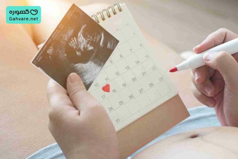 تاثیر چرخه قاعدگی بر زمان تخمک گذاری