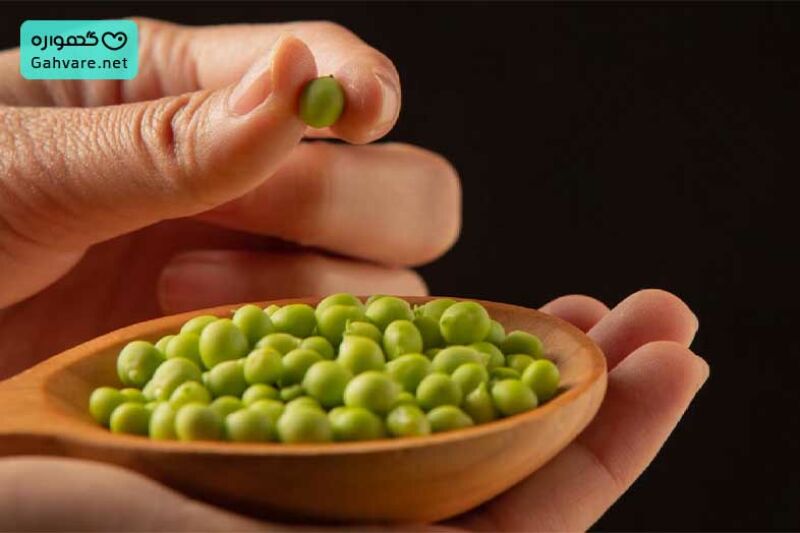 نخودفرنگی در بارداری