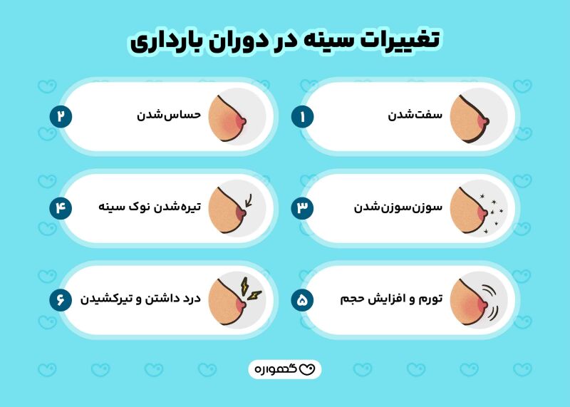 تغییرات سینه درد دوران بارداری