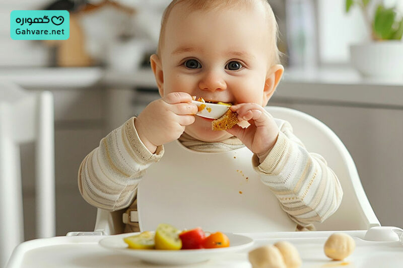 معرفی انواع فرنی نوزاد