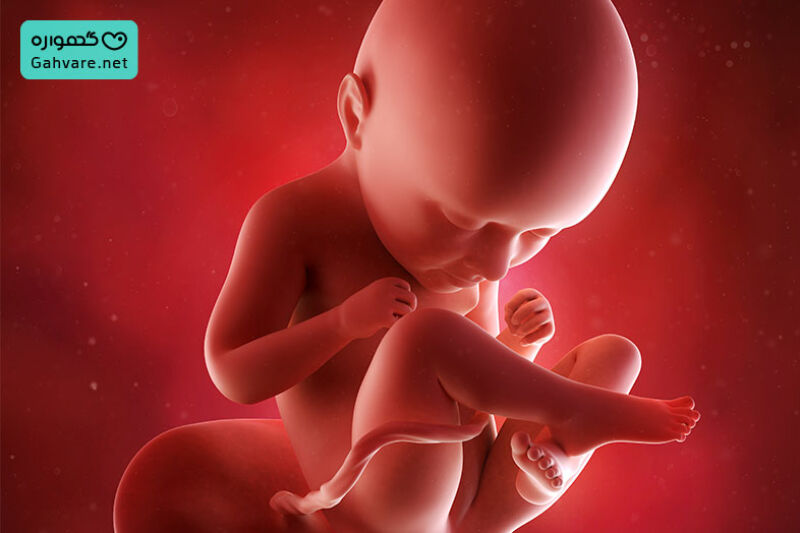 وضعیت جنین در هفته 35 بارداری