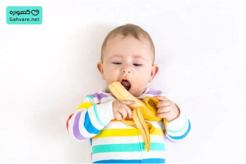 از چند ماهگی به نوزاد موز بدهیم